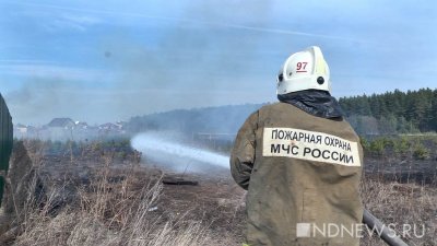В свердловских лесах спасатели тушат 5 пожаров на площади 878 гектаров