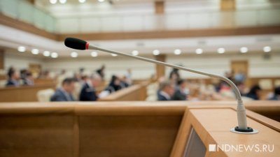 Депутаты заксо окончательно отклонили предложение о референдуме по прямым выборам мэров