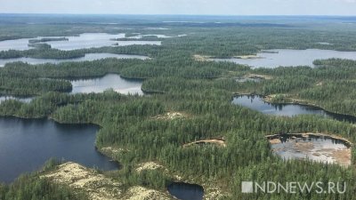 В Приуральском районе нашли тело пропавшего два месяца назад юноши