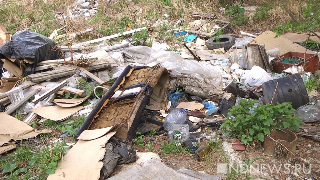 Жители Первоуральска засекли, кто сваливает мусор в лесу (ВИДЕО)
