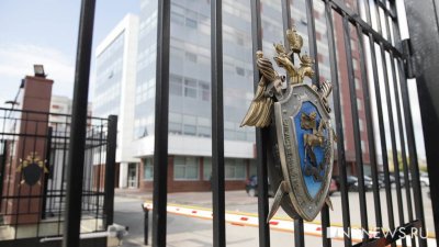 СМИ: избитая девочка в Каменске-Уральском стала жертвой изнасилования