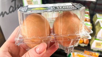 В Свердловской области начали дорожать яйца, возможно – из-за птичьего гриппа