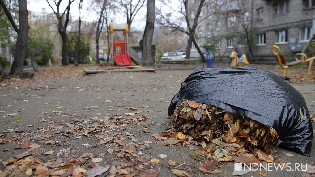 Екатеринбуржцы жалуются на черные мешки с мусором – их не убирают (ФОТО)