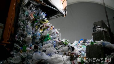 Гринпис: большая часть пластика в мусоре не доходит до переработки