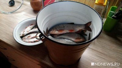 Ямальским аборигенам облегчат доступ к ловле рыбы