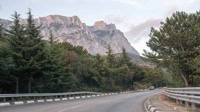 В Крыму восстанавливают лесополосы вдоль дорог и полей