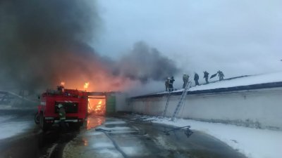 В Нижнем Тагиле пожар на складе птицефабрики – горят упаковки яиц (ФОТО)