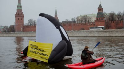 «Спасибо, что отпустили!..» Около Кремля после «всплытия» косатки задержаны активисты «Гринпис»