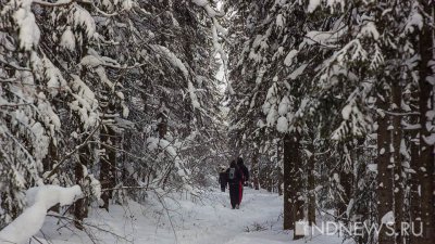 Лишь 8% россиян признались, что любят зиму