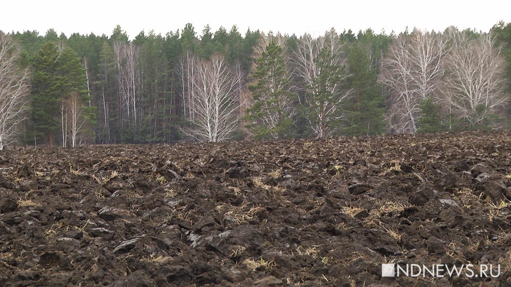 Уральские аграрии приостановили посевную из-за снегопадов