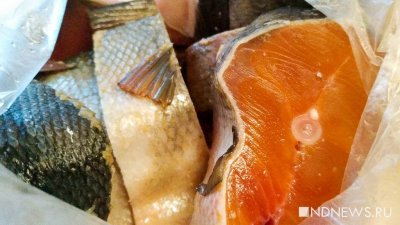 В России выявили нелегальную схему поставок лососевых через Белоруссию