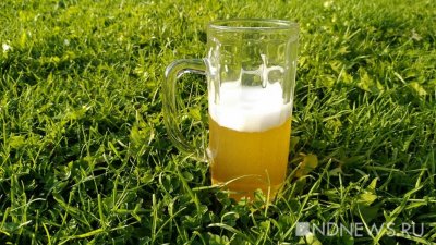 Пиво может предотвратить старческое слабоумие