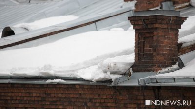 В Курганской области в частном доме нашли три трупа