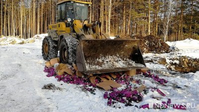 10 тысяч коробок снюса закопали на Урале (ФОТО, ВИДЕО)