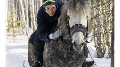 Ипподром Зауралья просит курганцев отдать лошадкам новогодние елки: они их очень любят