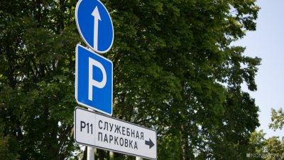 В Севастополе на борьбу с нарушителями правил дорожного движения вышли мошенники