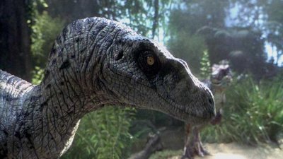 В Китае обнаружили окаменелости динозавра возрастом 125 миллионов лет