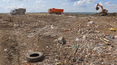 Арендатор заплатит более 70 млн рублей за загрязнение земли в Подмосковье