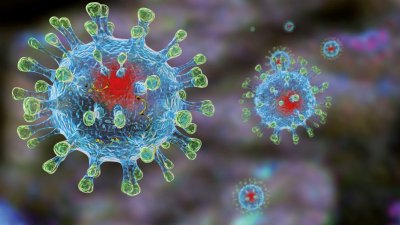 Новый штамм коронавируса из Южной Африки назван греческой буквой Omicron