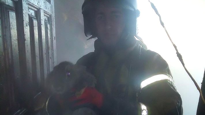 Тобольские пожарные спасли из огня четырех кроликов. ФОТО