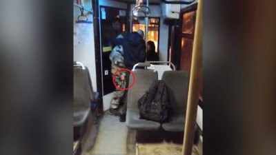 «Один предлагал всех порезать», – пассажиров автобуса закрыли в салоне с вооруженными людьми (ВИДЕО)