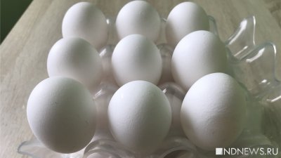 Азербайджан поставил в Россию 4,2 млн куриных яиц