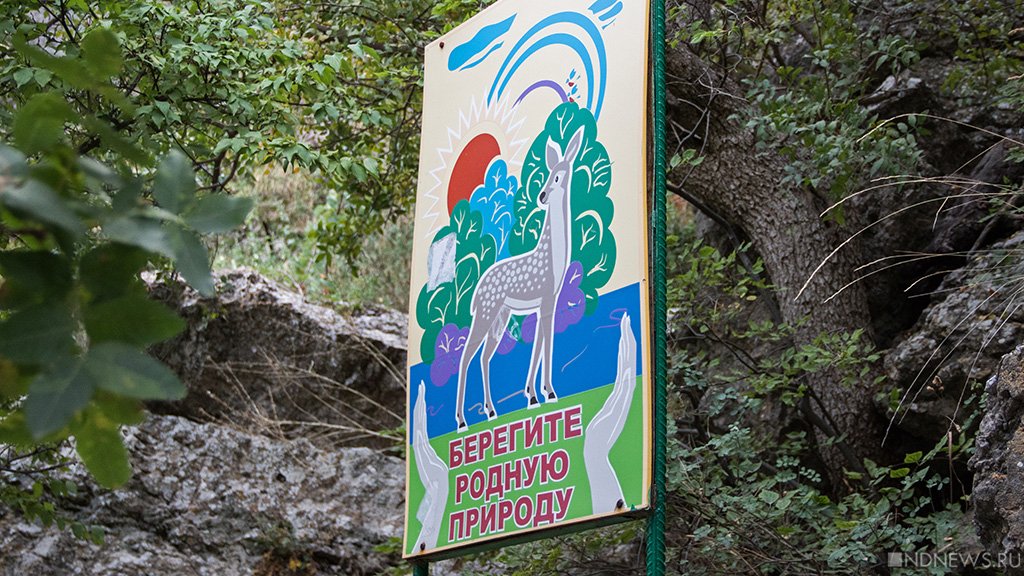 Медведь, он же олень: в лесах Крыма туристов пугает дикий рёв