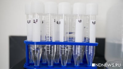 Первые тесты на антитела к Covid-19 получат волонтеры, медики и полиция
