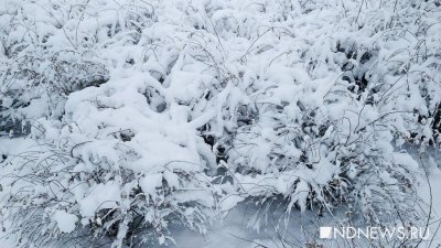 Екатеринбург засыпало снегом, город стоит в пробках (ФОТО)