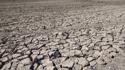 Юг Челябинской области охватила засуха. Режим ЧС действует в четырех районах