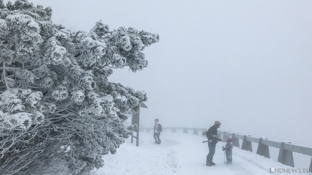 Вновь первый снег