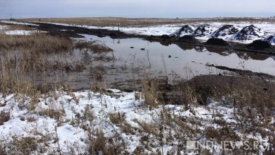 Под Санкт-Петербургом нашли тело пропавшего студента-медика