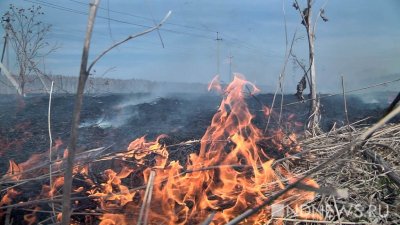 На Урале лесные пожары тушат больше тысячи человек