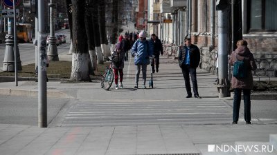 В Екатеринбурге впервые оштрафовали за нарушение указа о самоизоляции