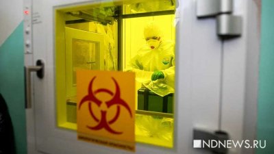 Более 180 случаев: в Курганской области зафиксирован новый максимум по коронавирусу