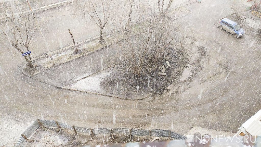 Утром Екатеринбург засыпало снегом (ФОТО)
