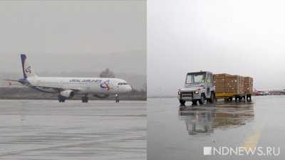Авиакомпания «Уральские авиалинии» перепрофилировала часть авиапарка под грузовой (ВИДЕО)