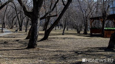 Сегодня парки Екатеринбурга начнут обрабатывать от клещей (ГРАФИК)
