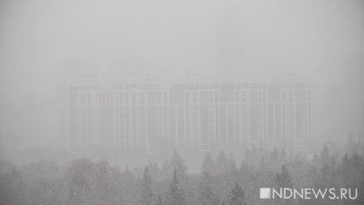 В Екатеринбурге прошел апрельский снегопад, уже завтра начнется потепление (ФОТО)