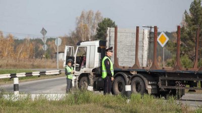 Спецслужбы раскрыли контрабандистов, вывозивших за рубеж платину и палладий