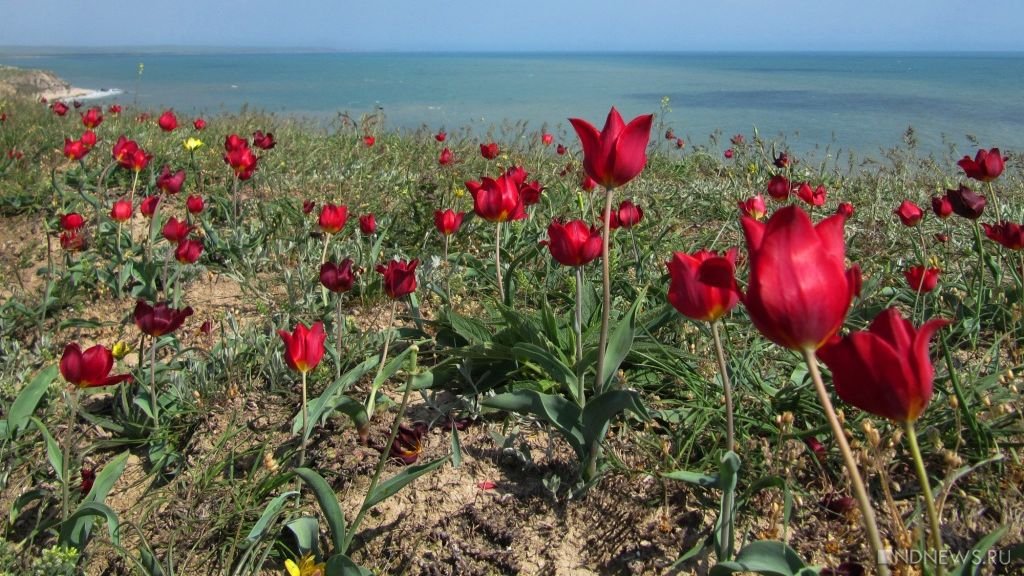 Запрет на посещение двух заповедников Крыма продлен до апреля
