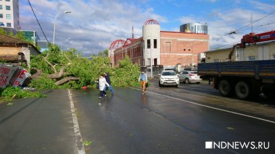 Гроза в Екатеринбурге: повалены деревья, летают заборы и крыши (ФОТО, ВИДЕО)