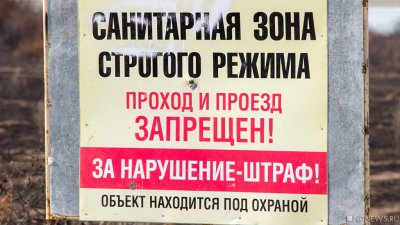 Карантин на ранних этапах эпидемии не влияет на ее развитие – расчеты южноуральских ученых