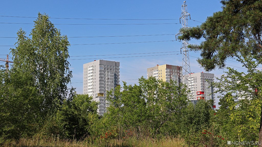 Из-за нового генплана в Челябинске отложили рассмотрение иска о защите леса на северо-западе города