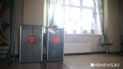 Свердловские парнасовцы поддержат на сентябрьских выборах «Яблоко»