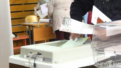 Предварительные итоги голосования по поправкам: Свердловская область «за»
