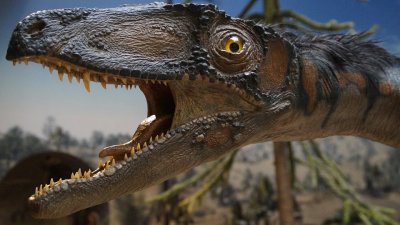 Динозавры начали вымирать еще до падения метеорита