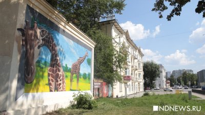 «Жители оценили», – автор первого граффити на муниципальном фестивале закончил работу (ФОТО)
