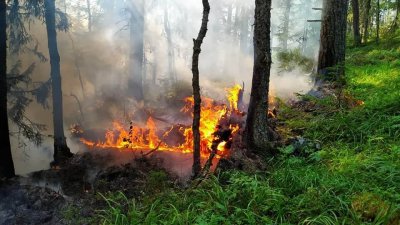 Пожар в «Денежкином Камне» тушат 25 человек с земли и вертолет (ФОТО)