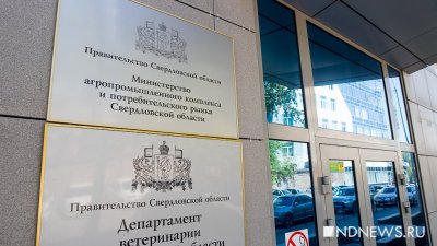 И.о. министра АПК назначена Светлана Островская